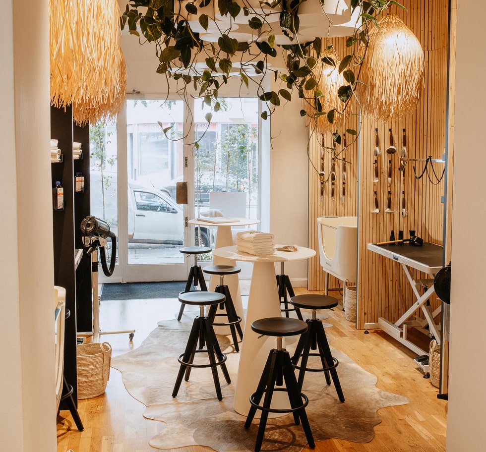 We love dogs Spa - wellness lázně pro pejsky - vykoupejte si svého pejska s kvalitními přípravky a kosmetikou 04